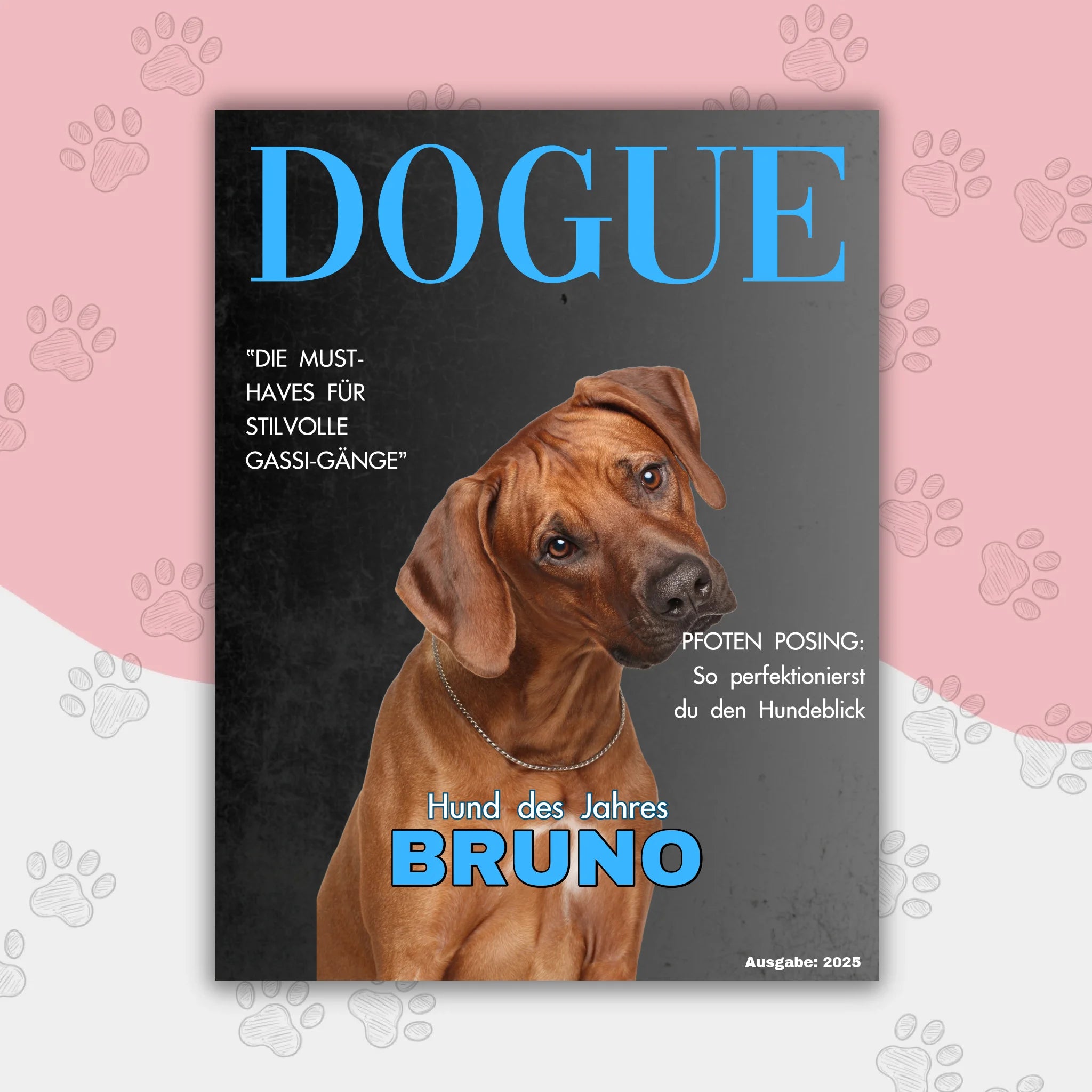 Hunde Beitrag Kopie
