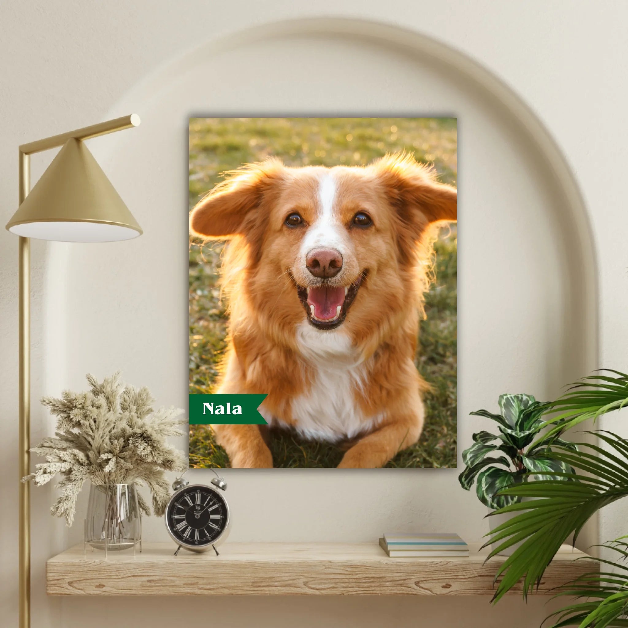 Hunde Beitrag