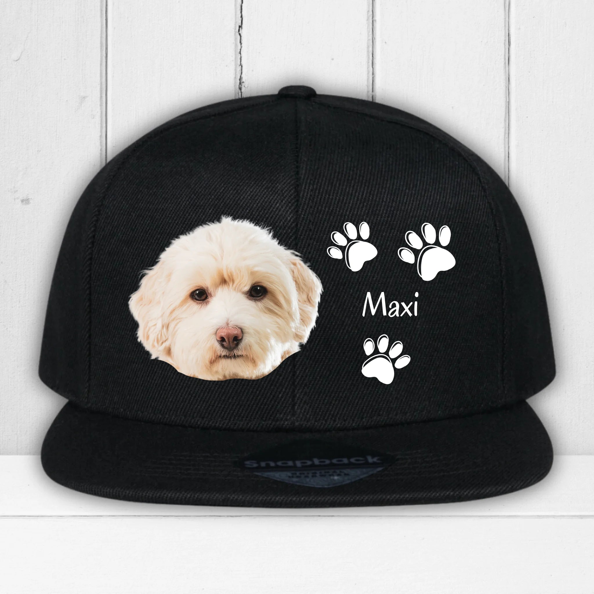 Hunde Beitrag