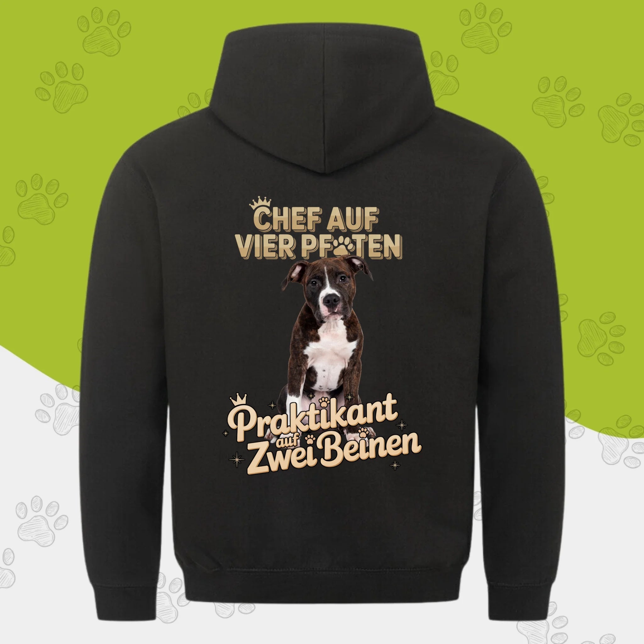 Hunde Beitrag