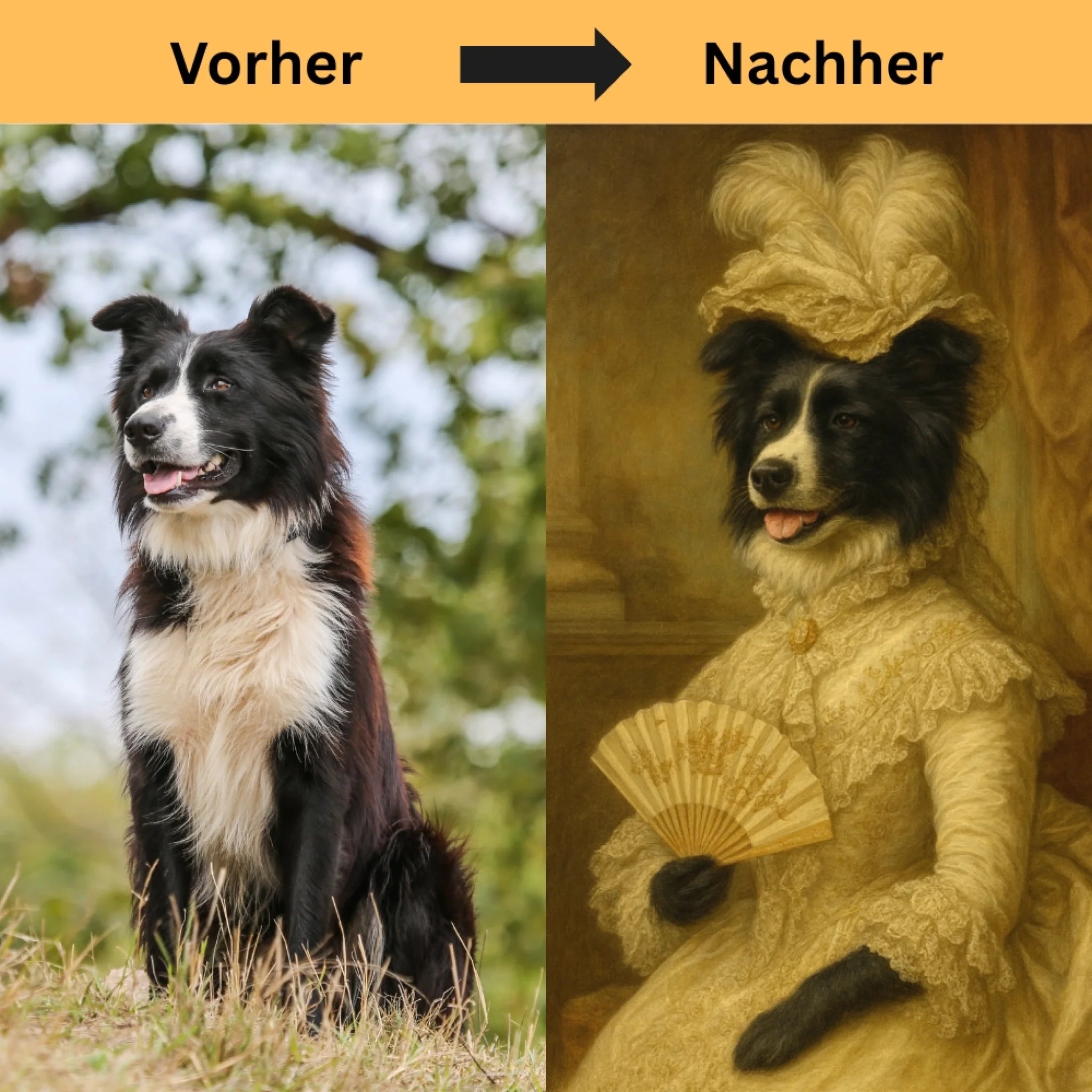 Hunde Beitrag-3
