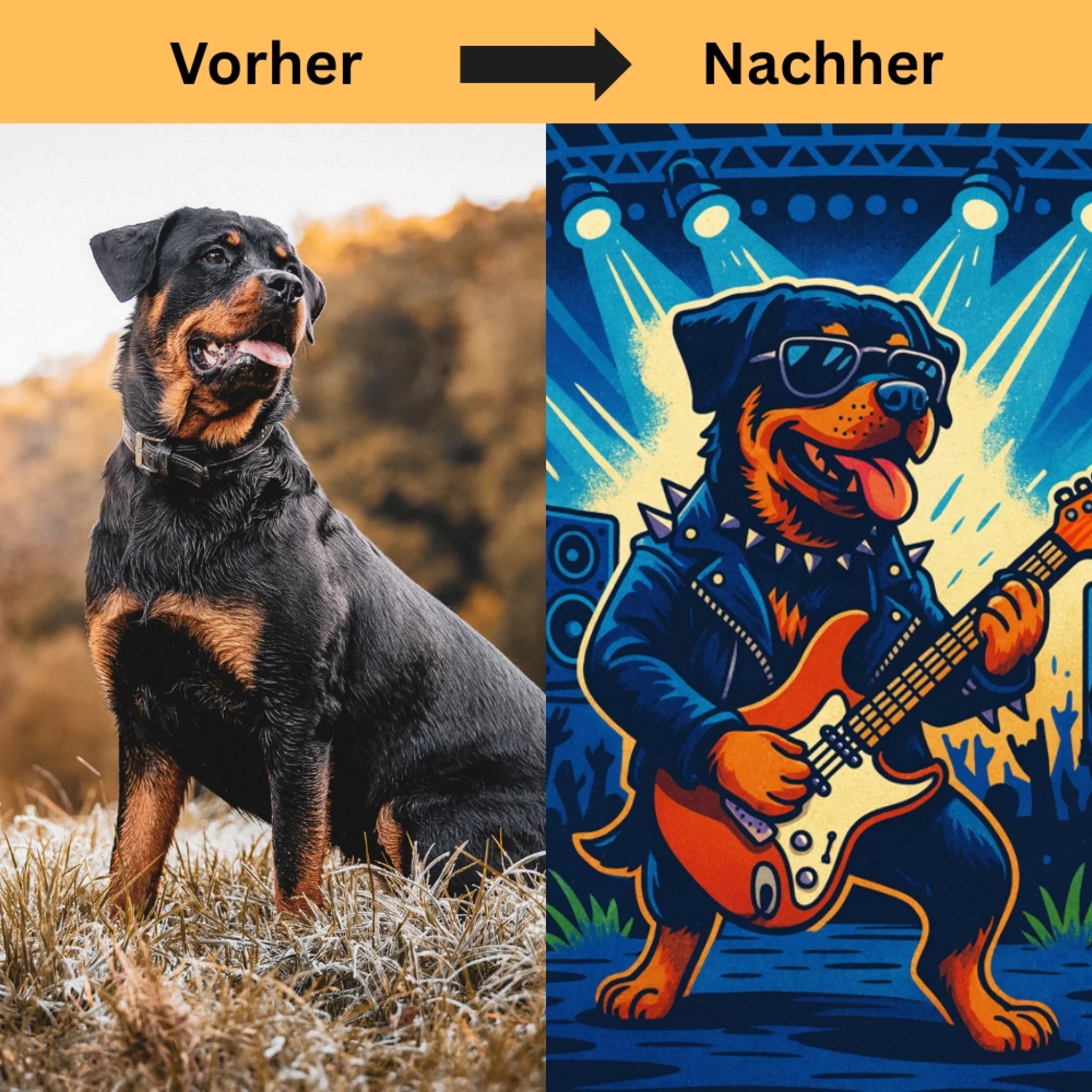 Hunde Beitrag-3