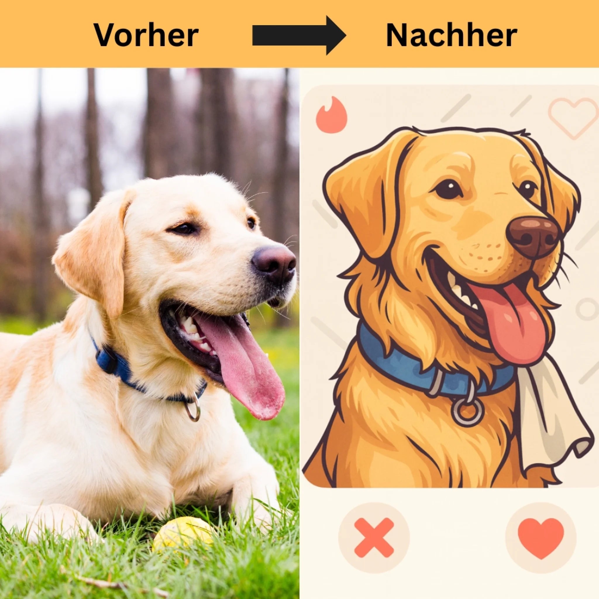 Hunde Beitrag-4