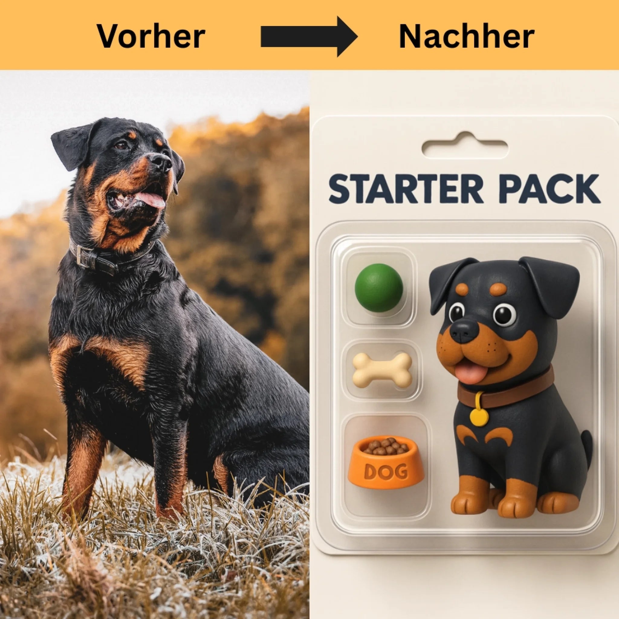 Hunde Beitrag-5