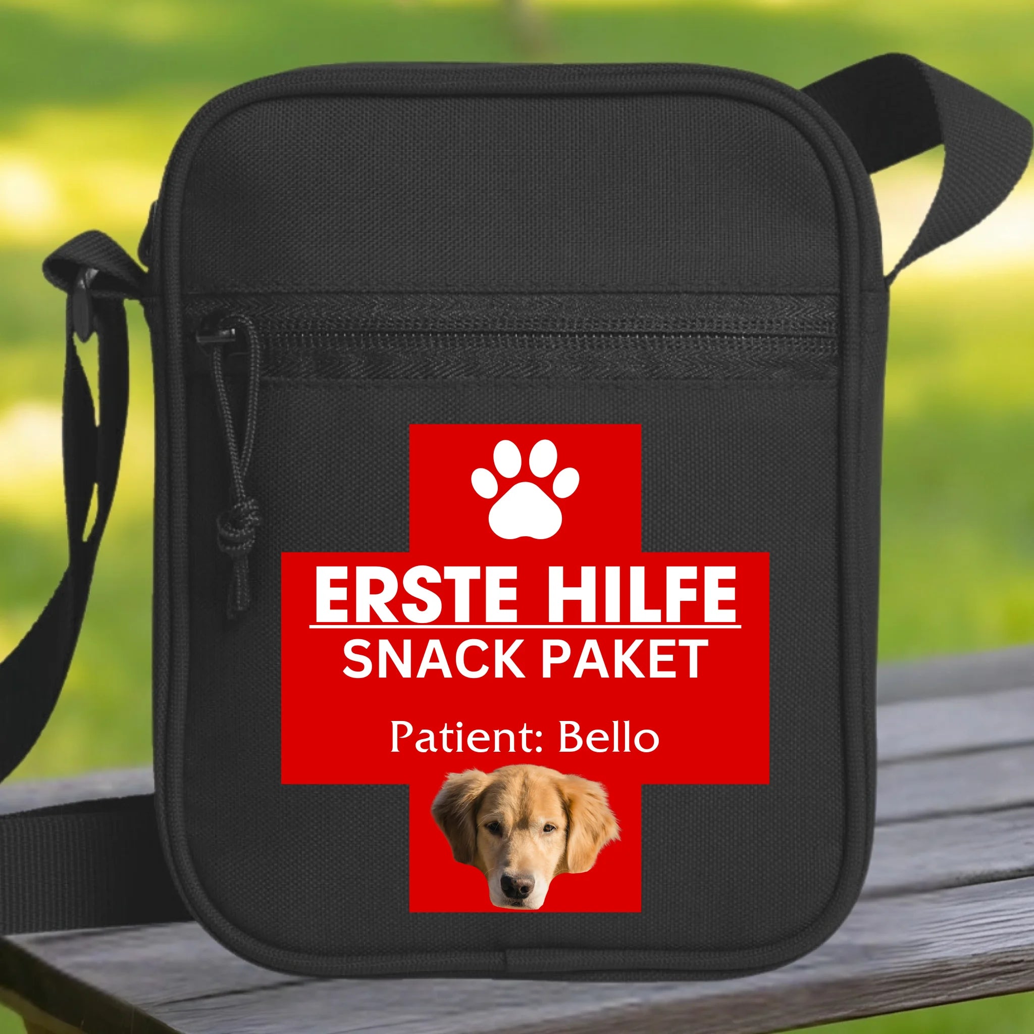 Hunde Beitrag-2