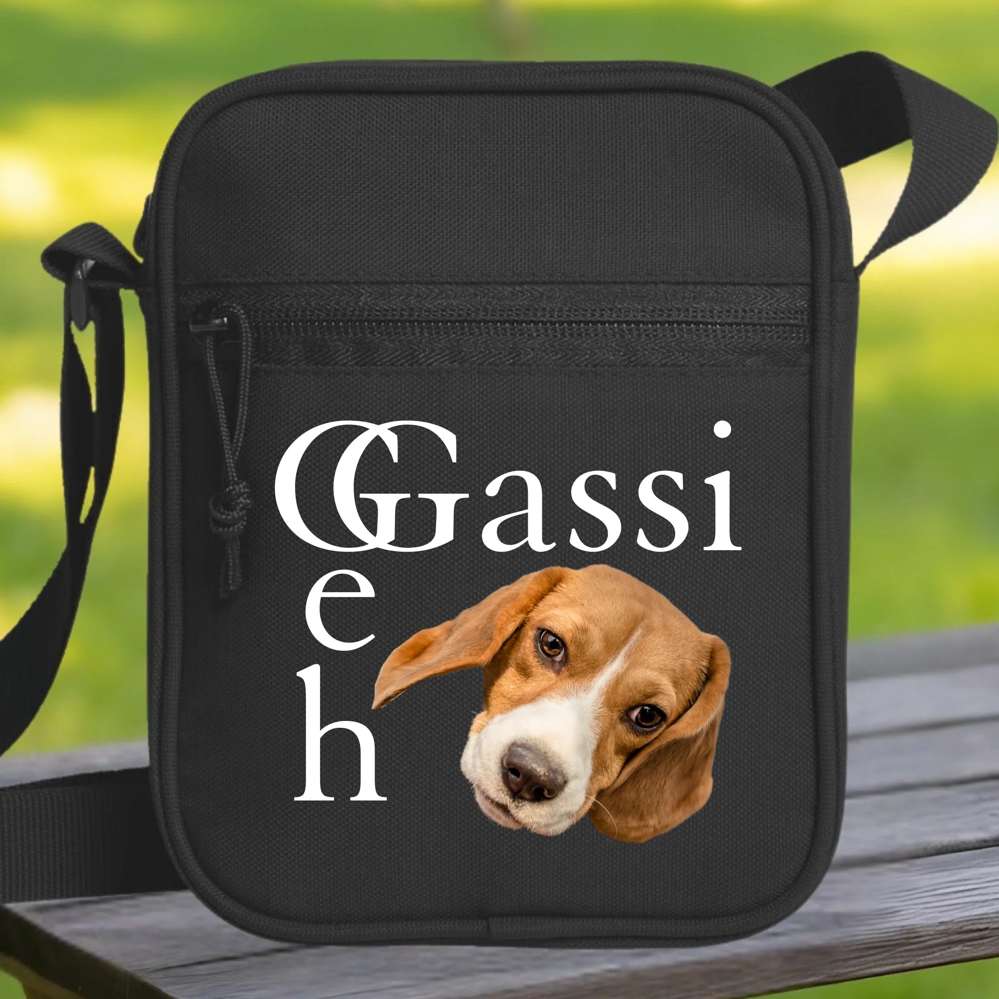 Hunde Beitrag-2