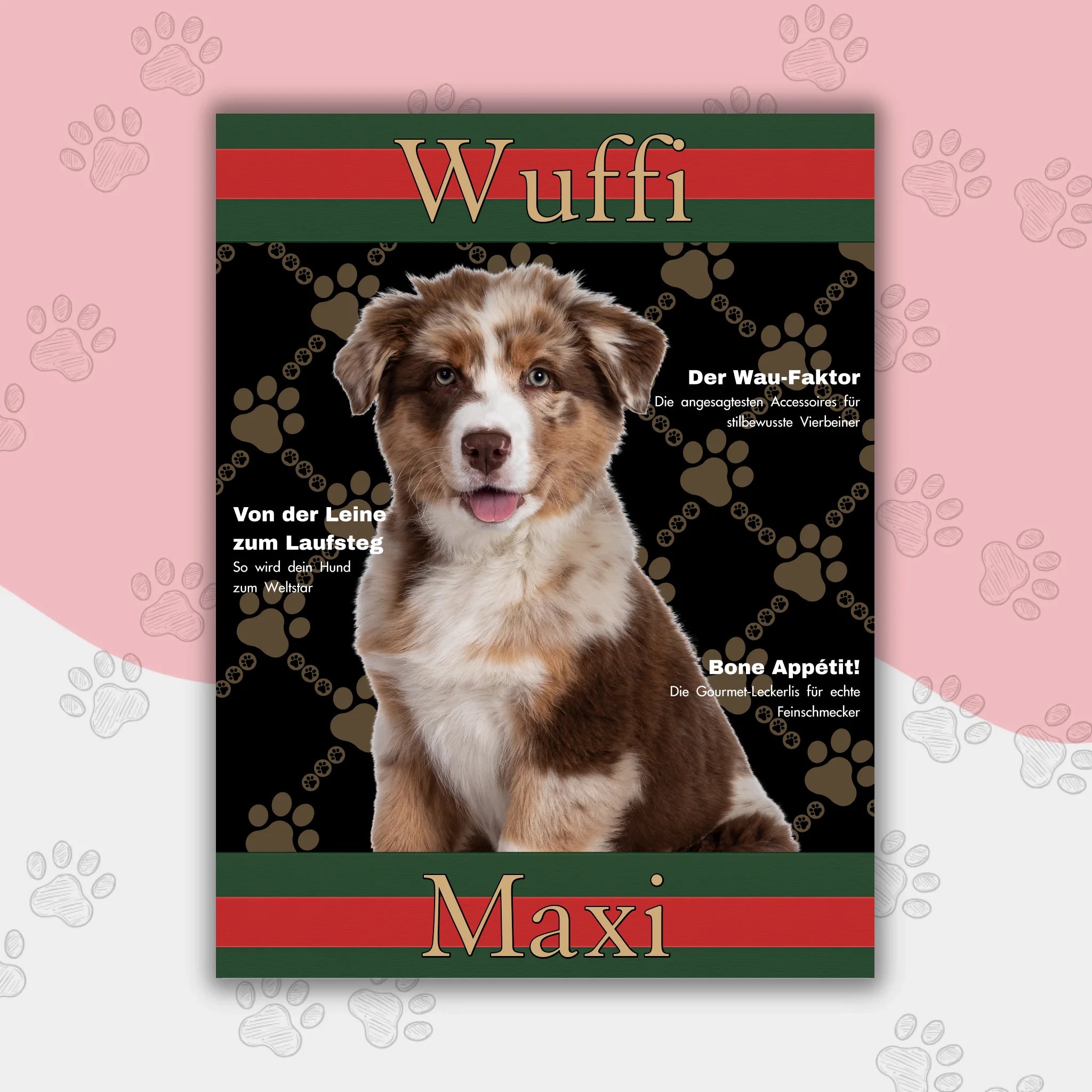 Hunde Beitrag-3