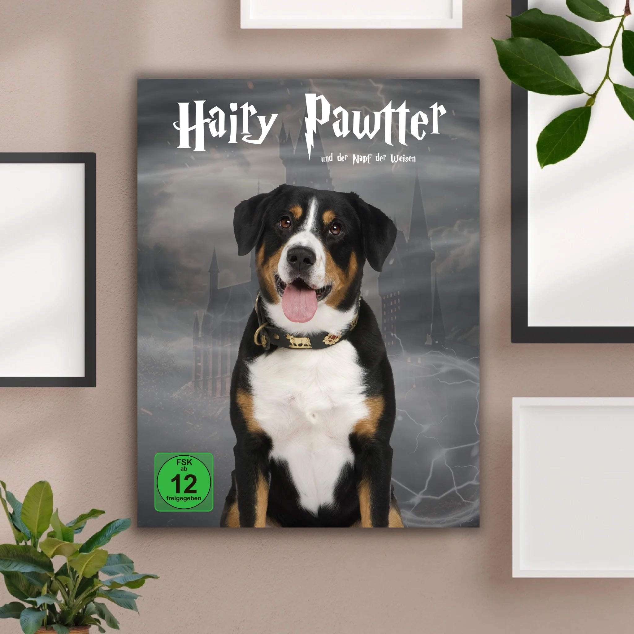 Hunde Beitrag-4