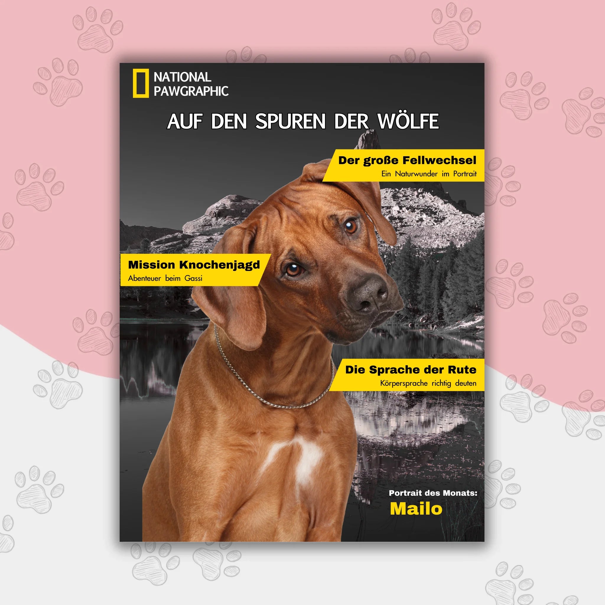 Hunde Beitrag-3