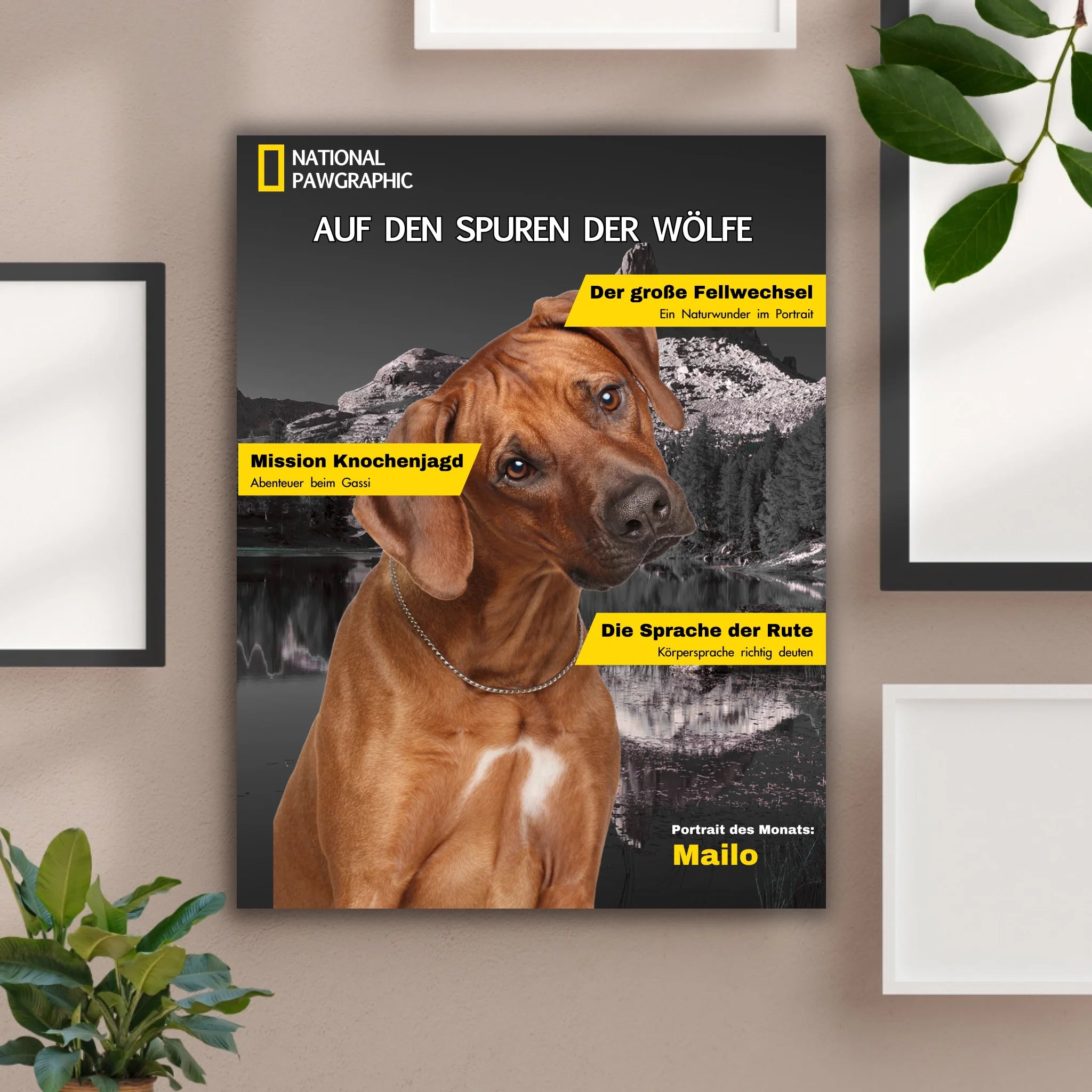 Hunde Beitrag-4