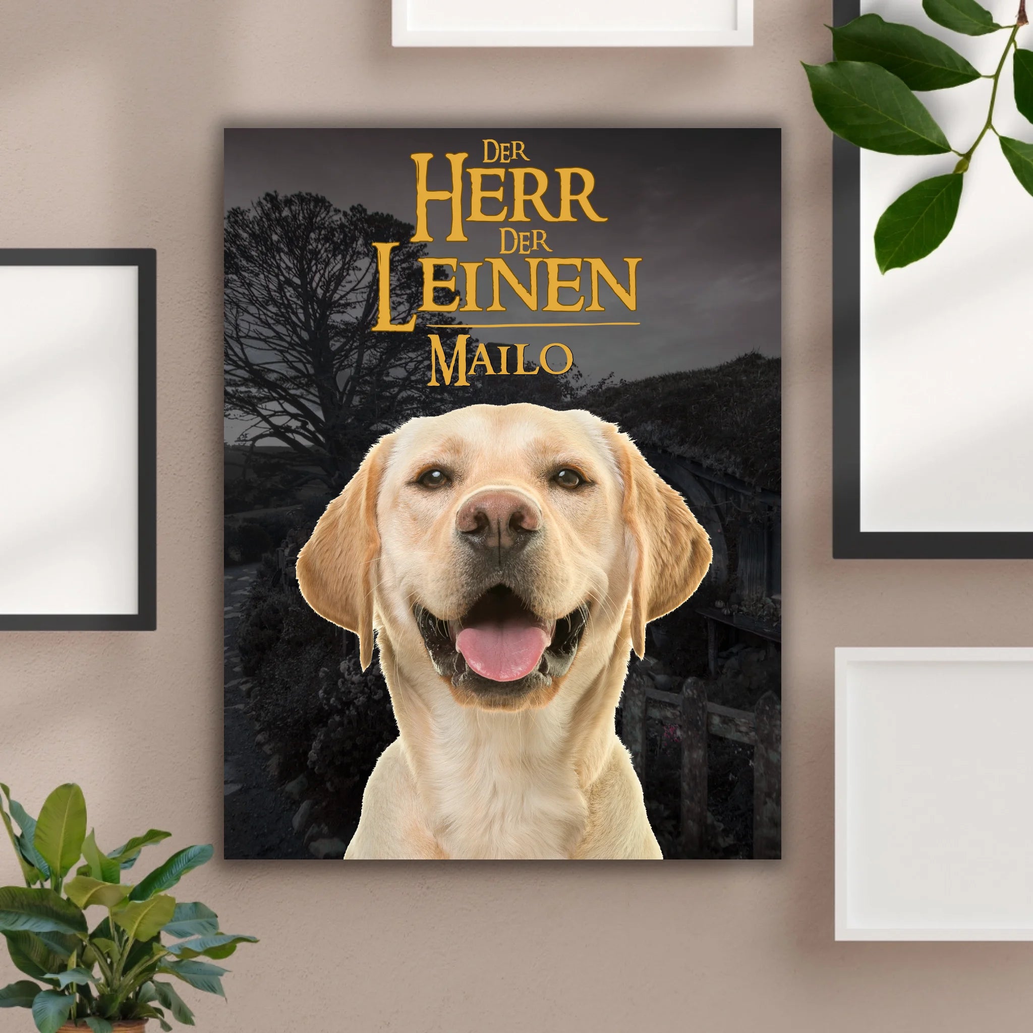 Hunde Beitrag-4