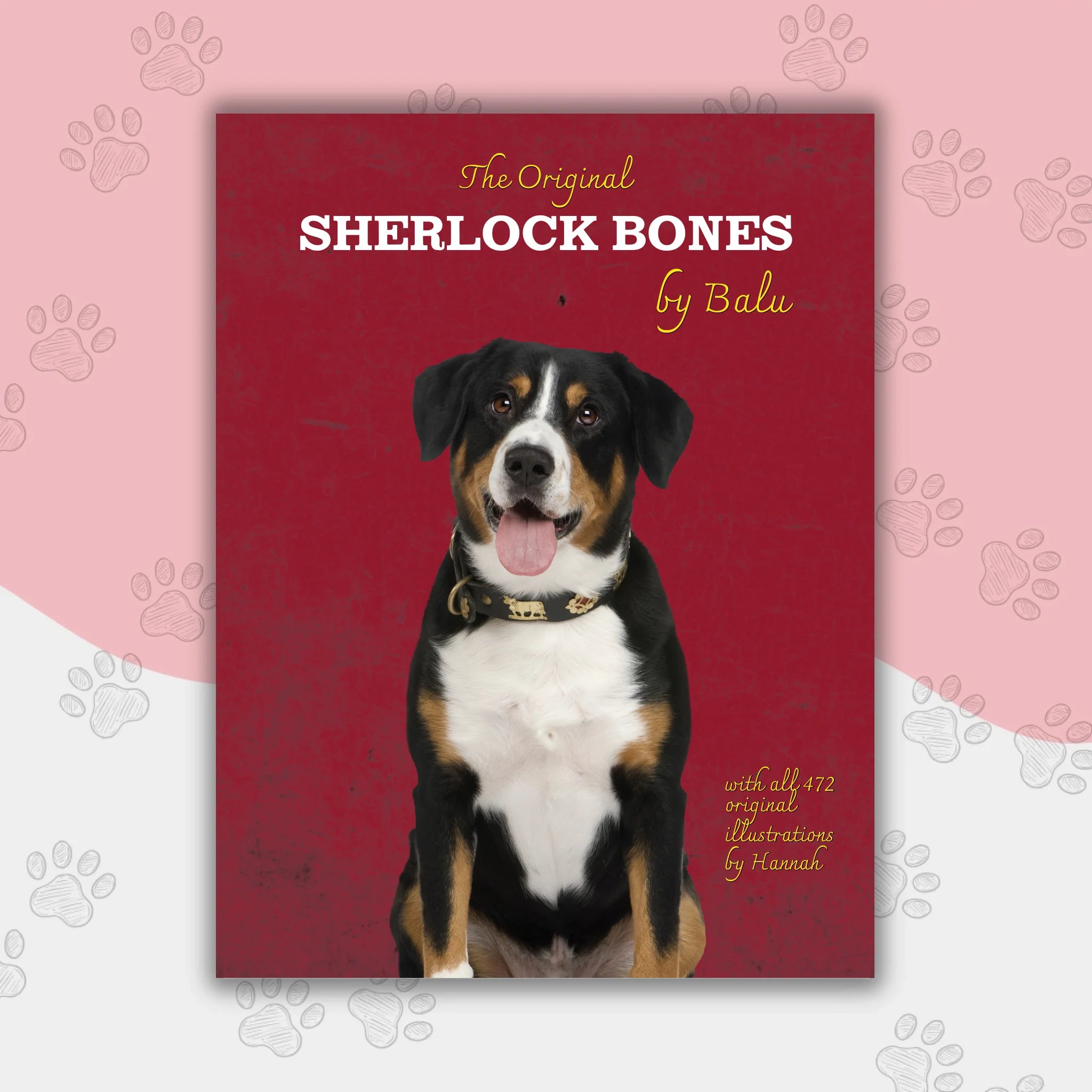 Hunde Beitrag-3