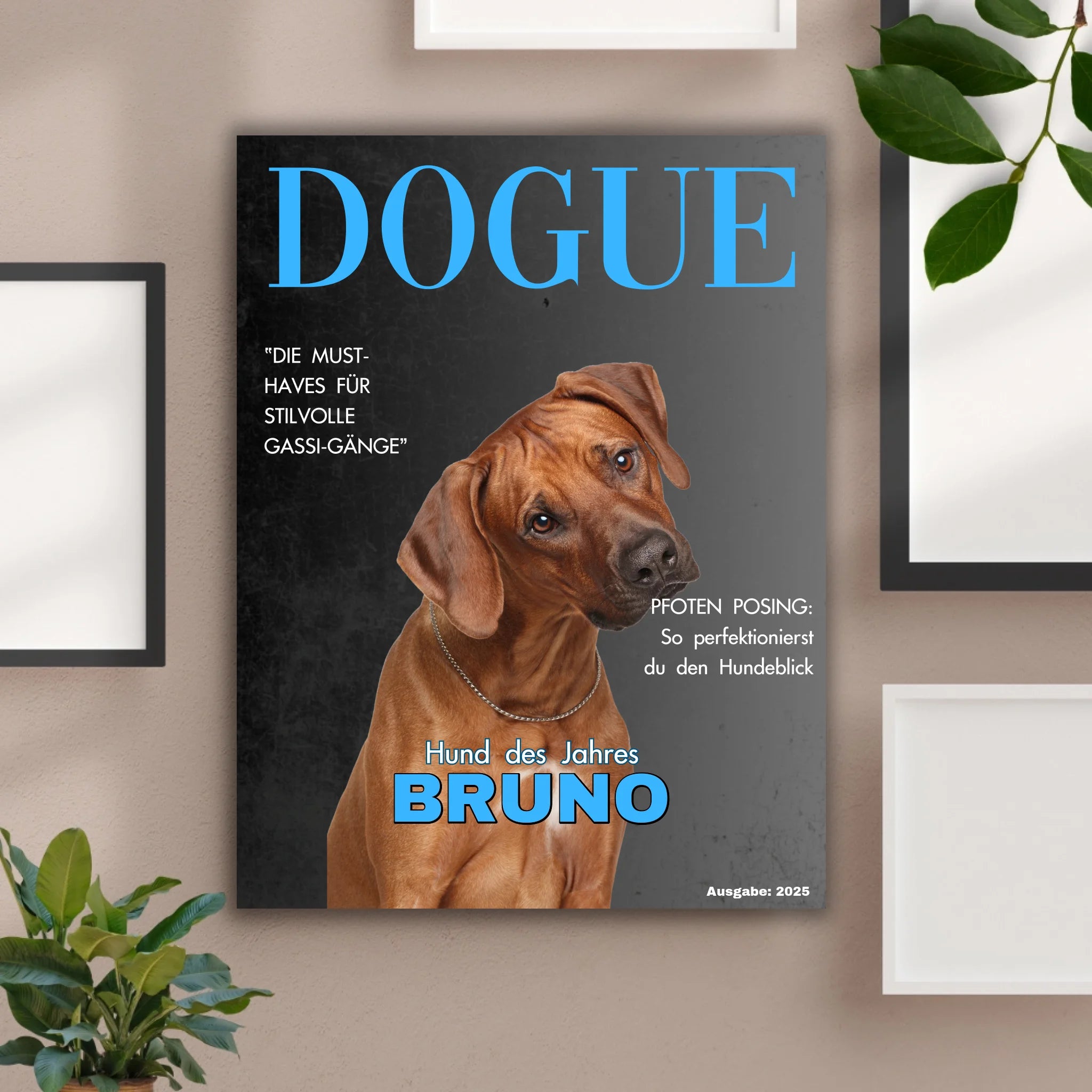 Hunde Beitrag-4