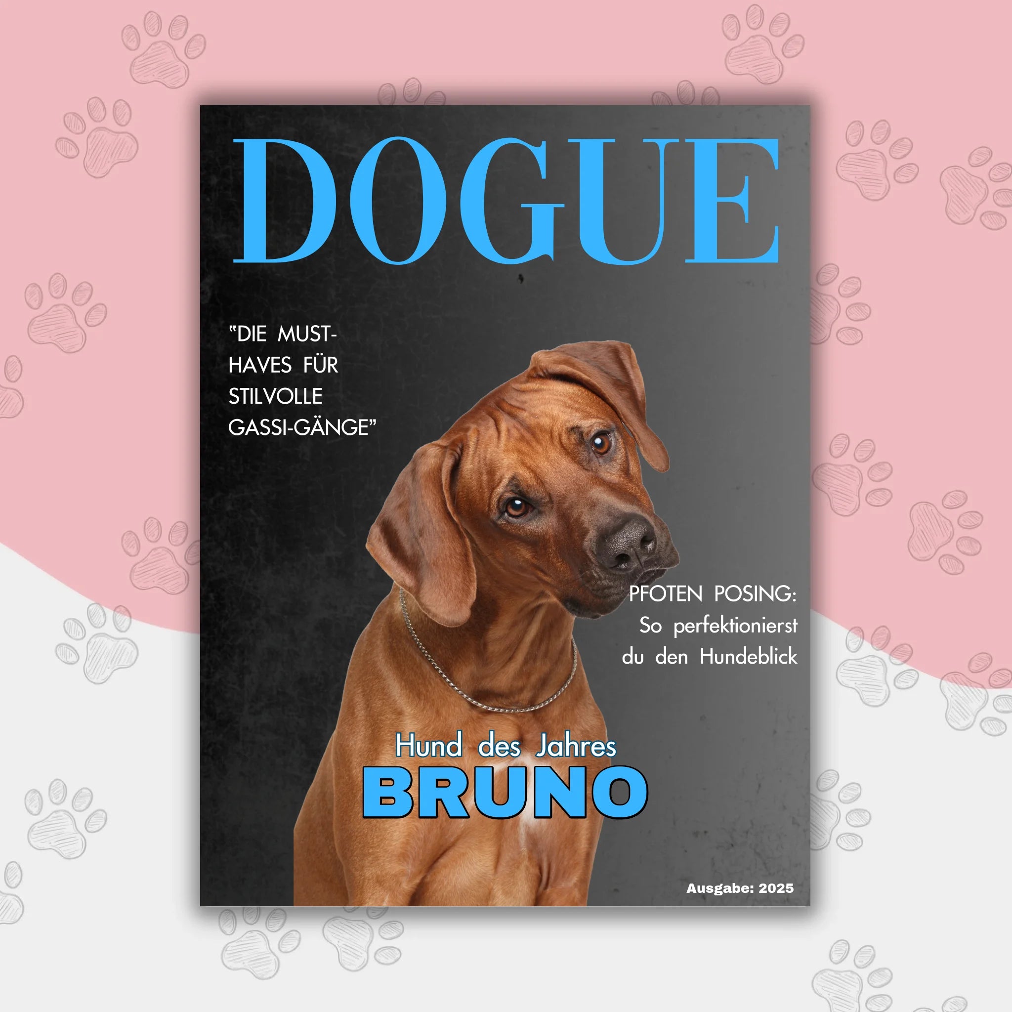 Hunde Beitrag-3