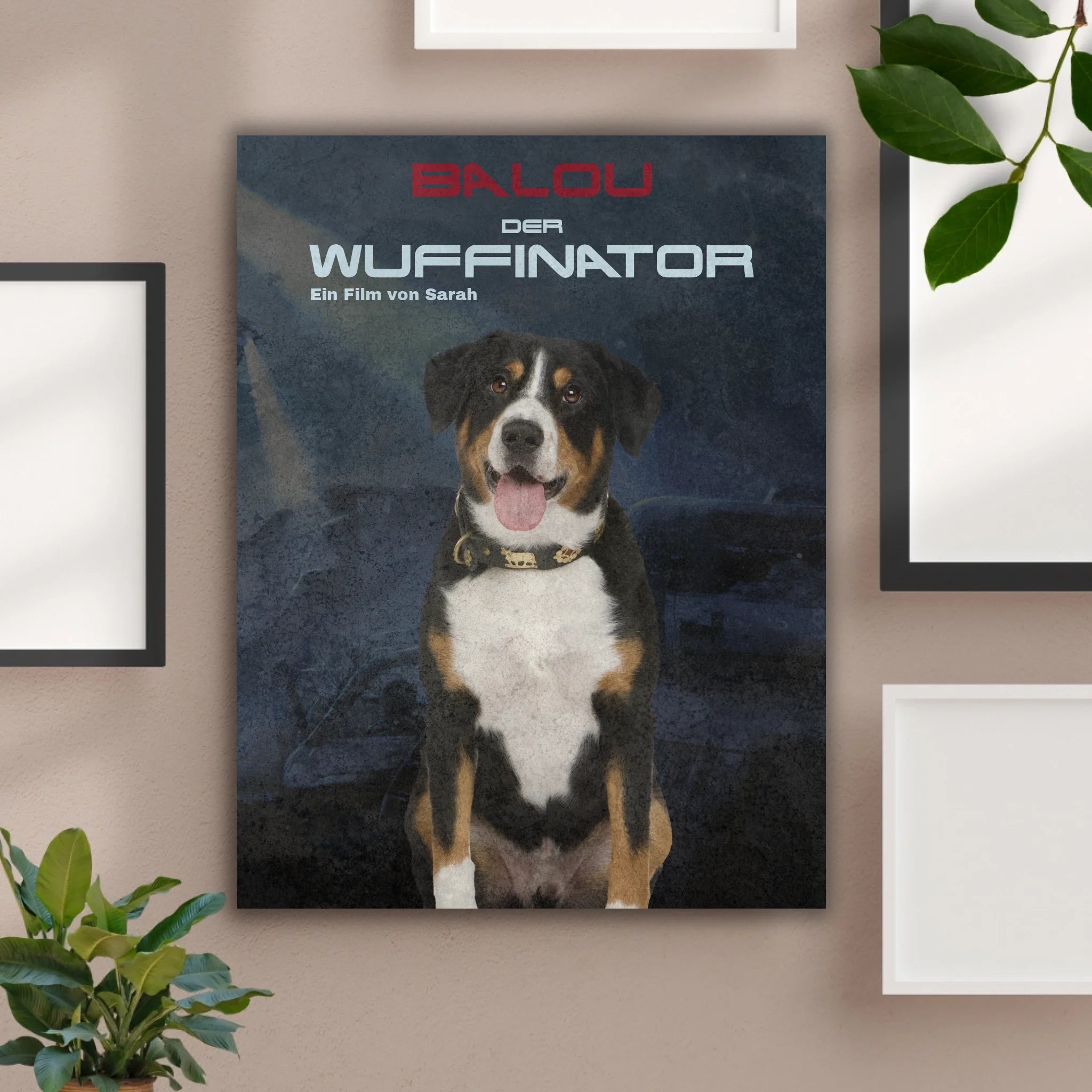 Hunde Beitrag-4