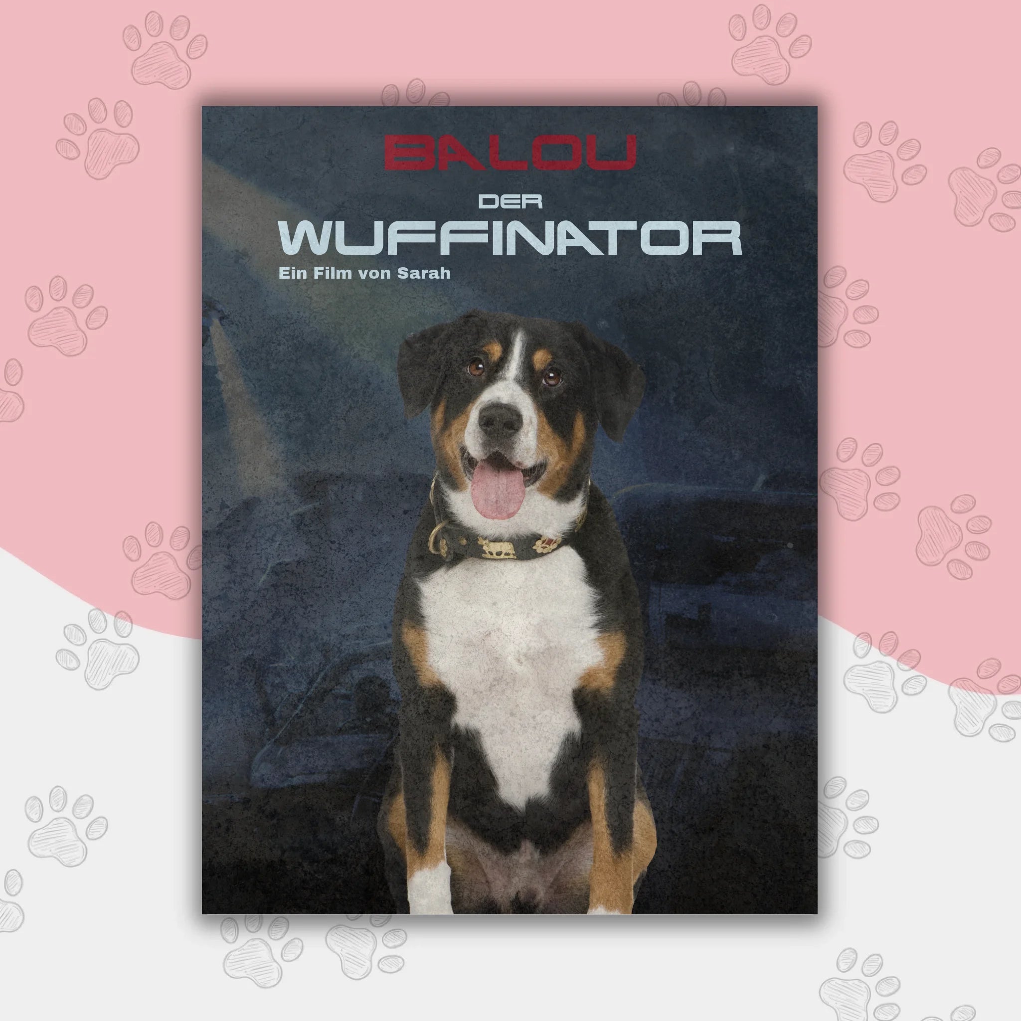 Hunde Beitrag-3