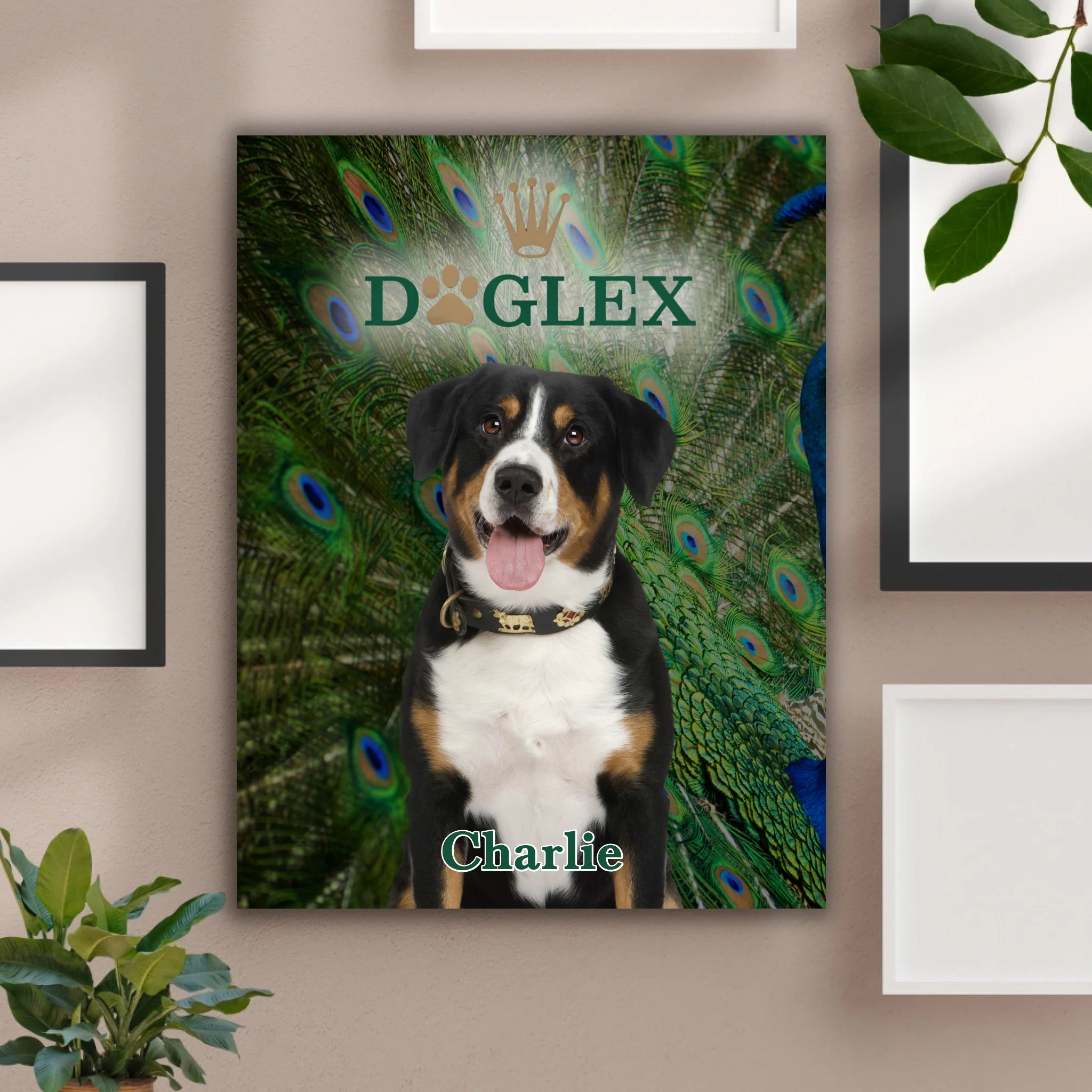 Hunde Beitrag-4