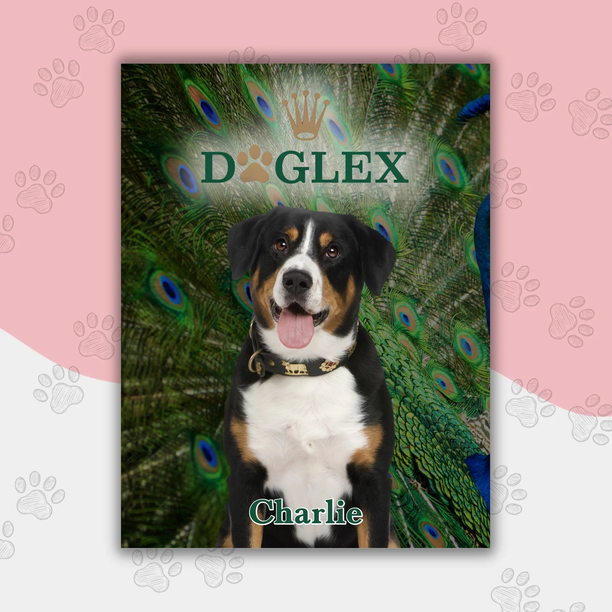 Hunde Beitrag-3