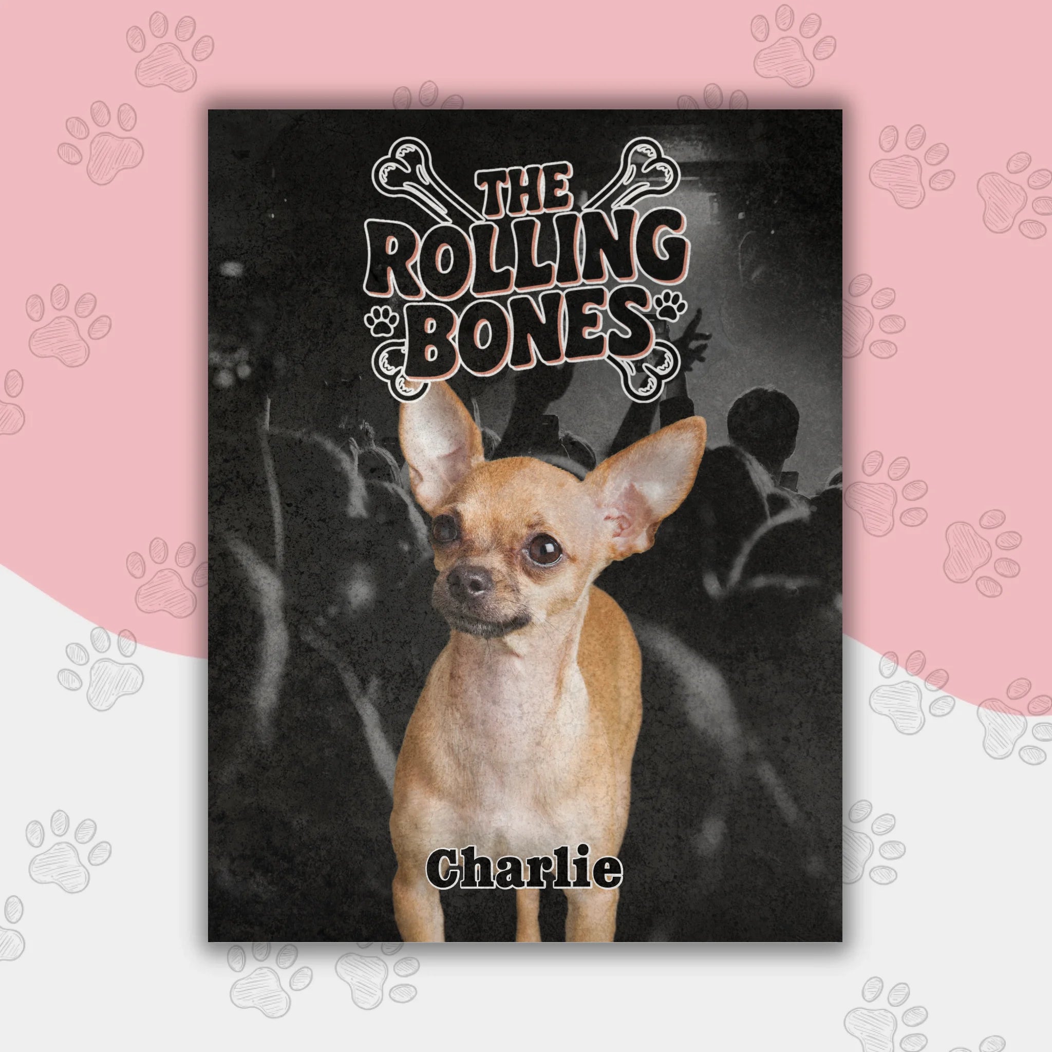 Hunde Beitrag-3