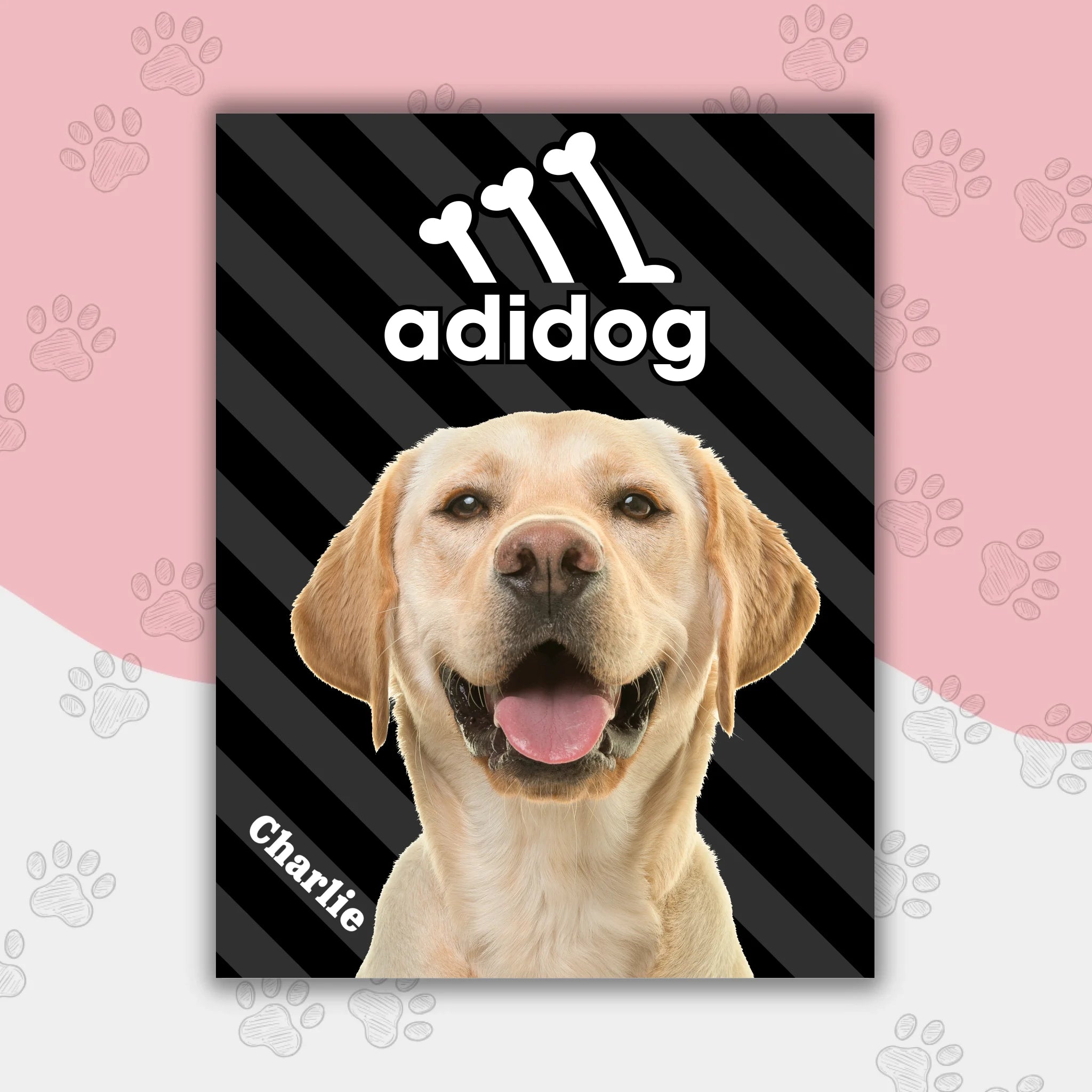 Hunde Beitrag-3