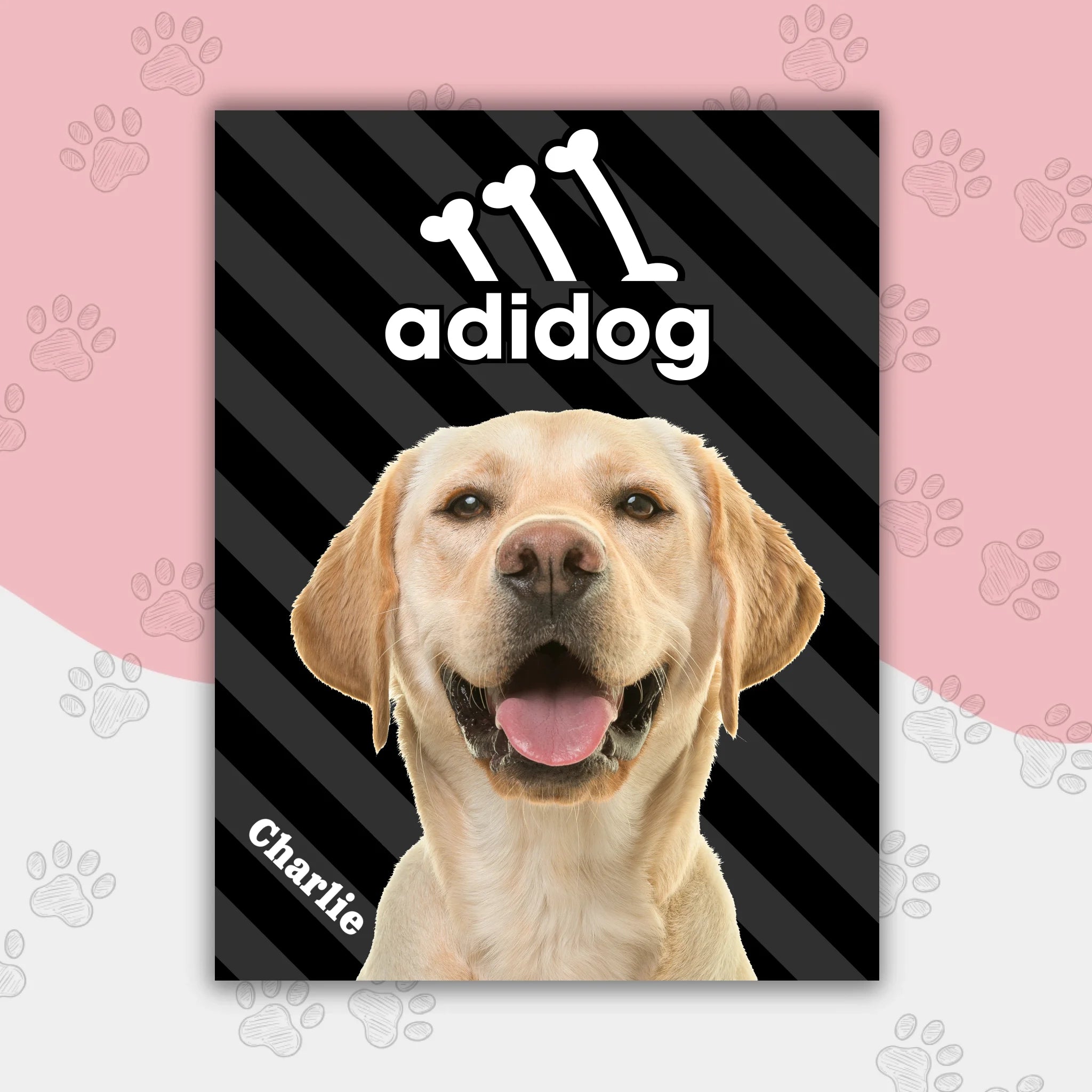 Hunde Beitrag Kopie