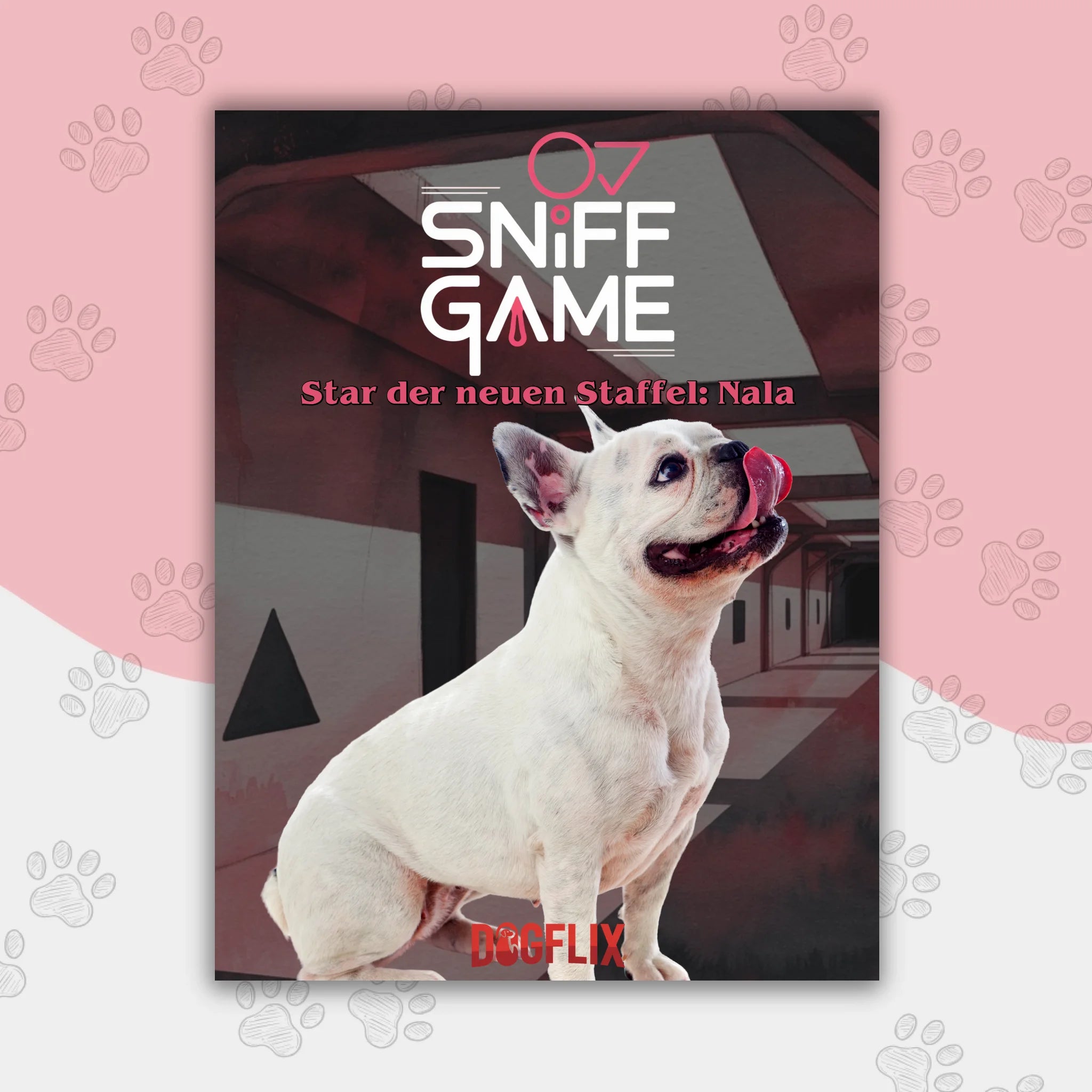 Hunde Beitrag Kopie
