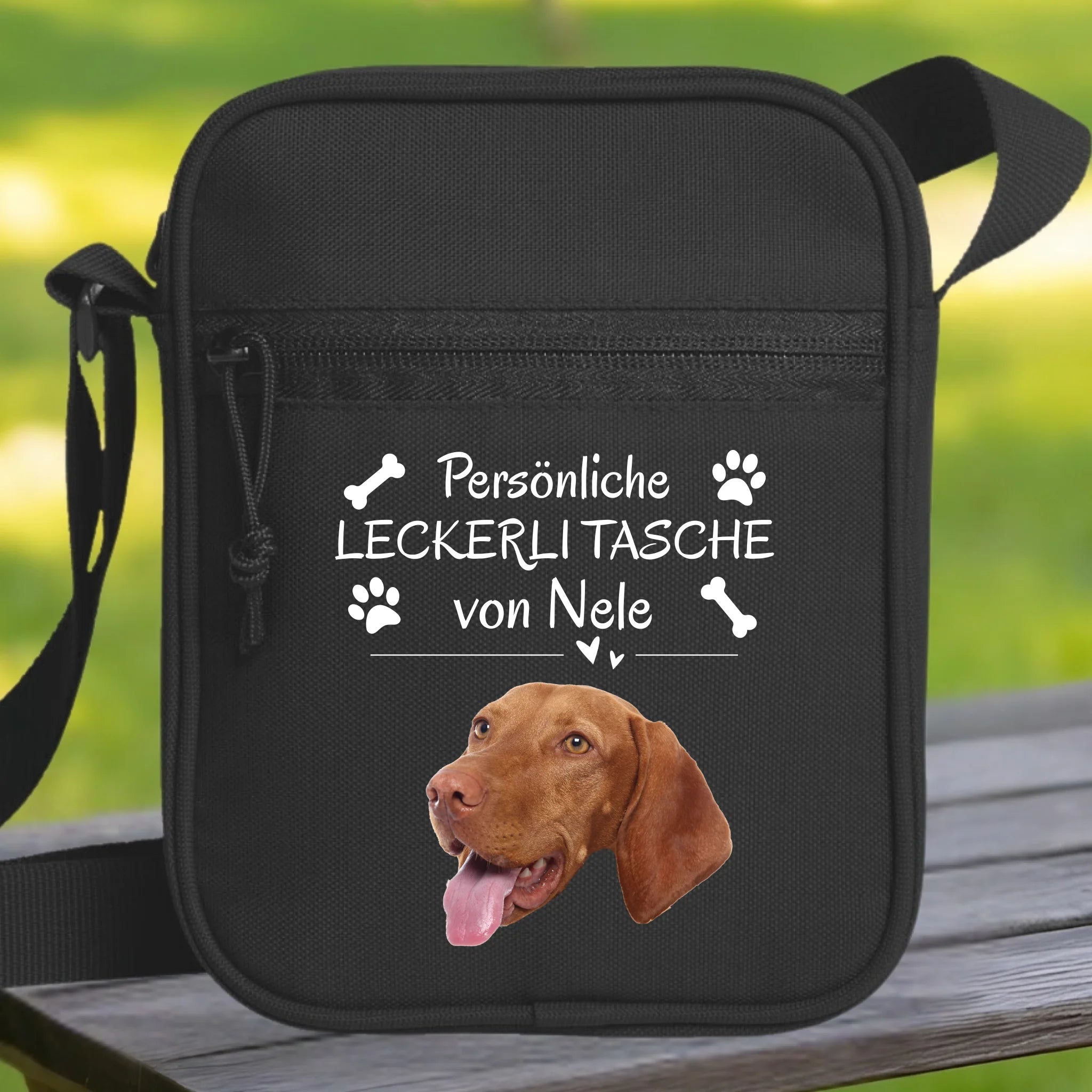 Hunde Beitrag-2