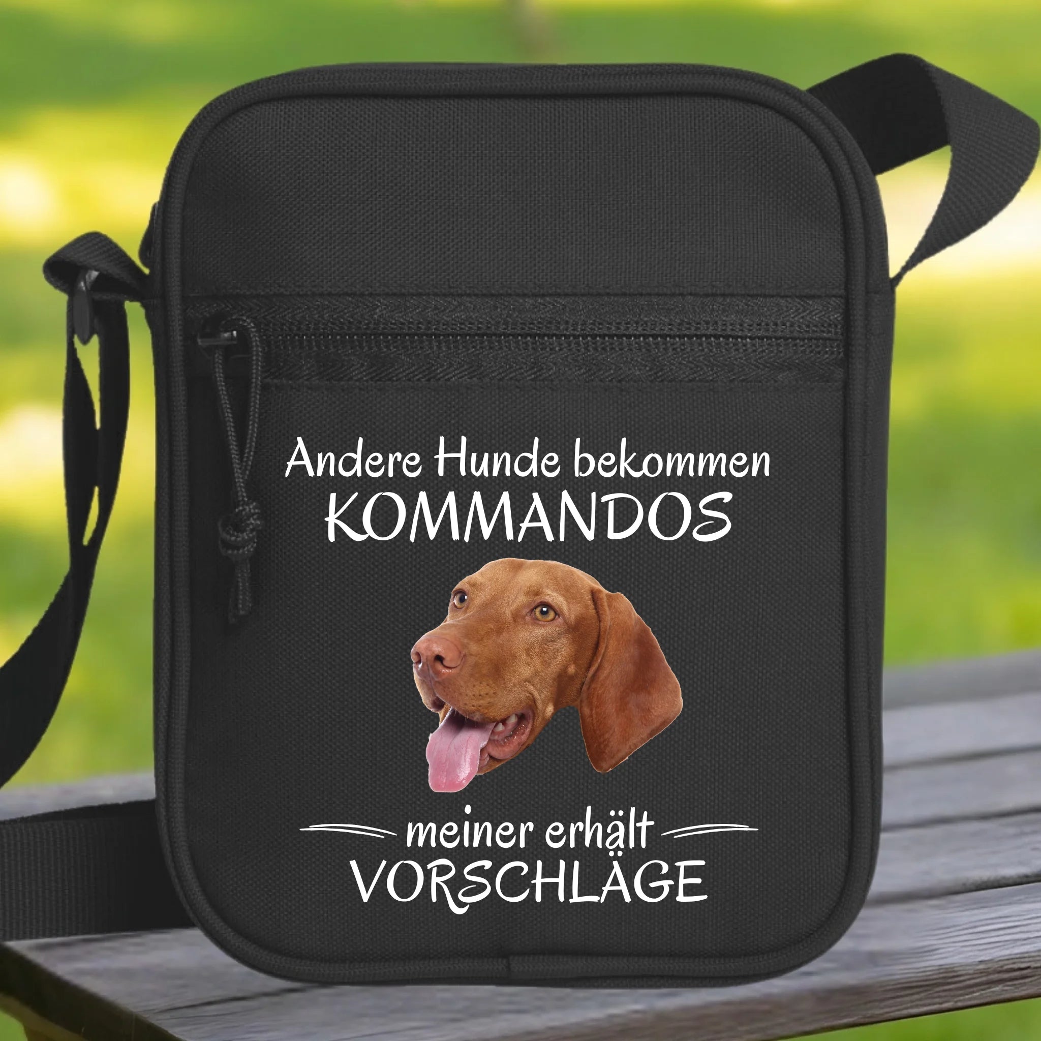 Hunde Beitrag-2
