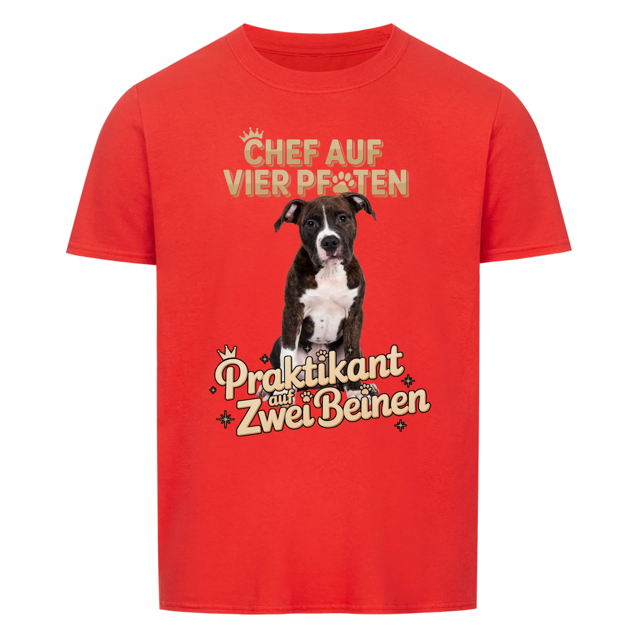 Praktikant auf zwei Beinen - Shirt personalisierbar