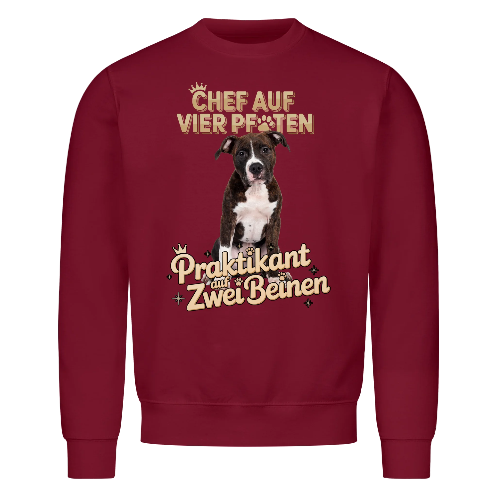 Praktikant auf zwei Beinen - Shirt personalisierbar