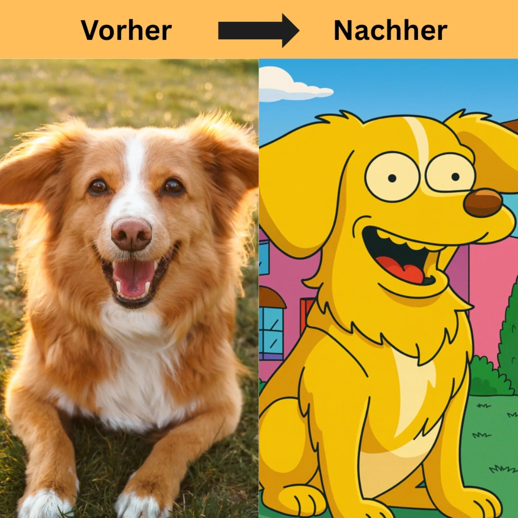 Hunde Beitrag-2