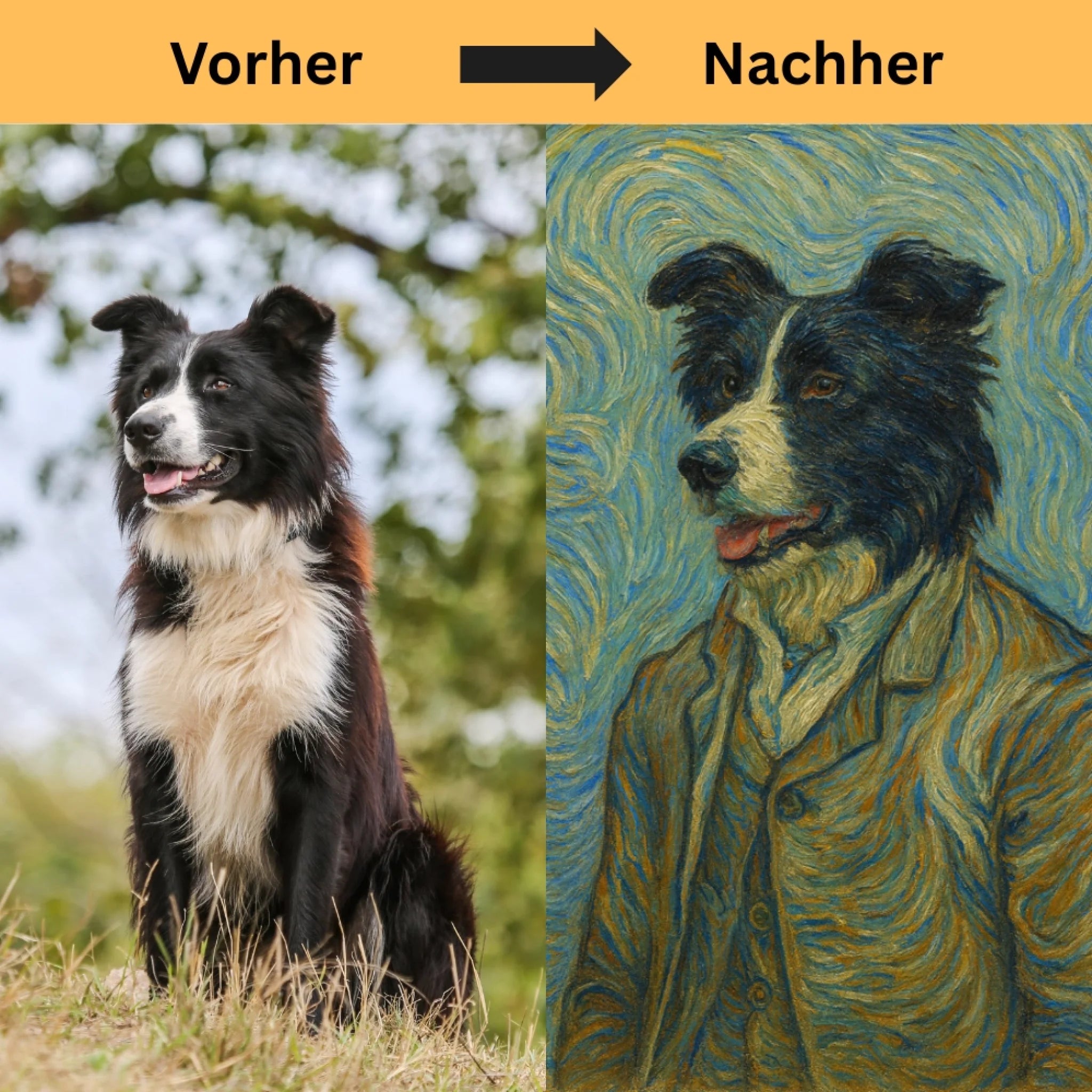 Hunde Beitrag-2