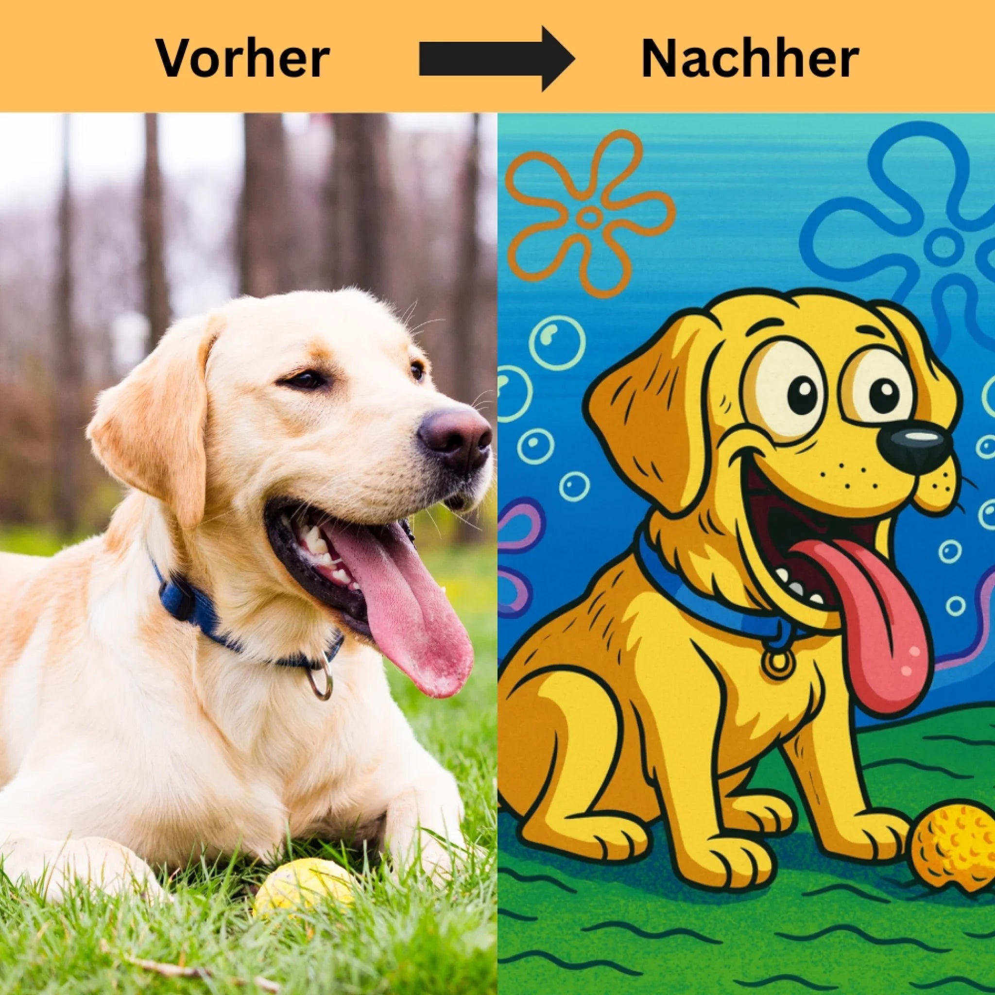 Hunde Beitrag-4