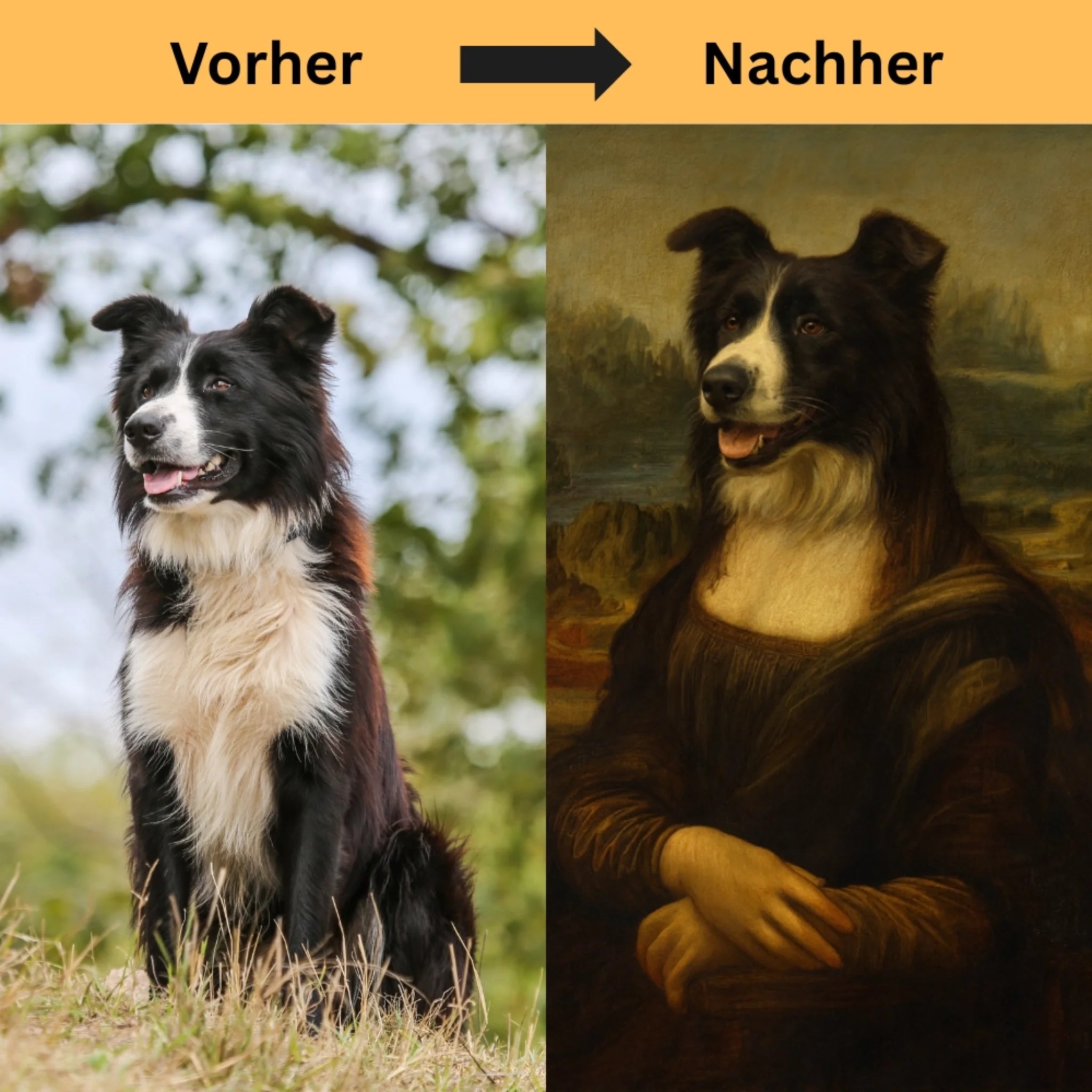 Hunde Beitrag-3